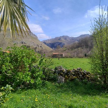 Amplia Y Comoda Casa De Piedra Con Porche Y Jardin San Roque de Ríomiera 외부 사진