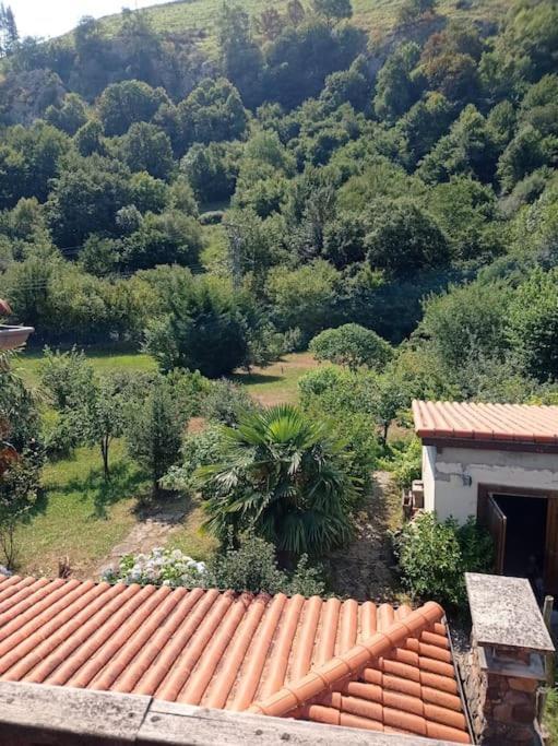 Amplia Y Comoda Casa De Piedra Con Porche Y Jardin San Roque de Ríomiera 외부 사진