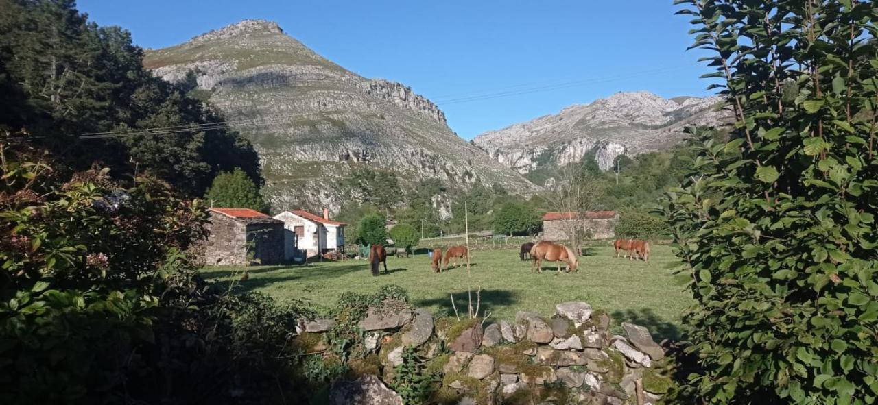 Amplia Y Comoda Casa De Piedra Con Porche Y Jardin San Roque de Ríomiera 외부 사진